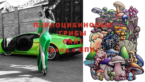apvp Абинск